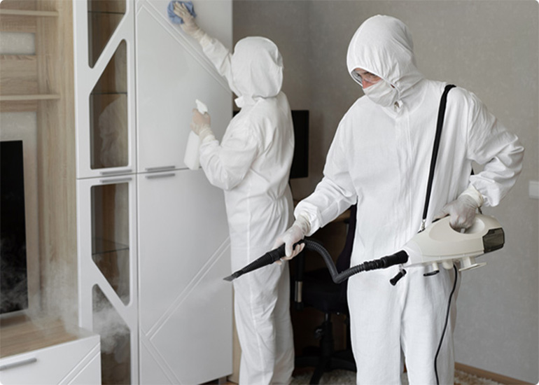 Bed Bug Control Services