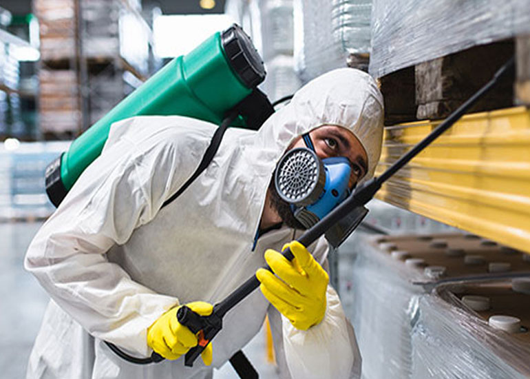 Lizard Control Services