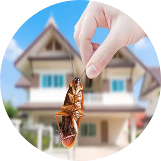 Best Pest Control Services in Gurgaon and Faridabad
