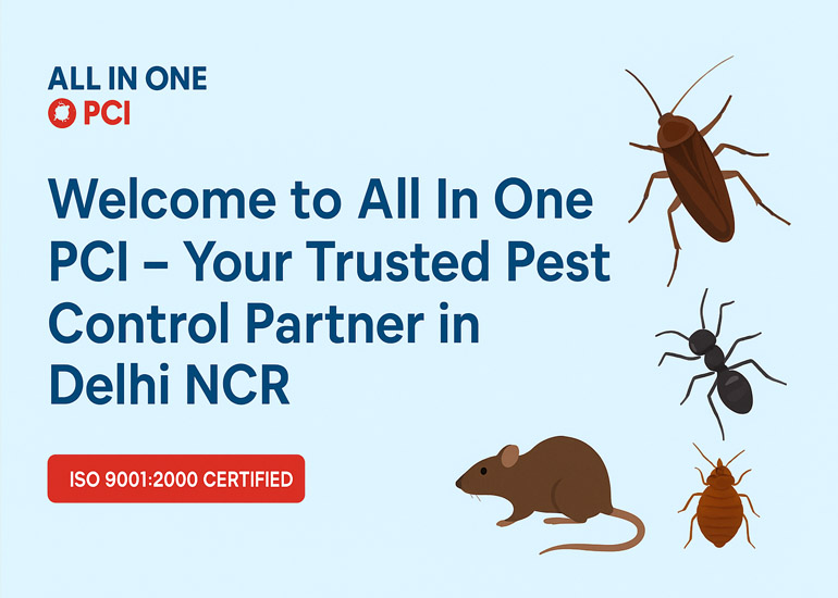 Welcome to All In One PCI – Your Trusted Pest Control Partner in Delhi NCR...