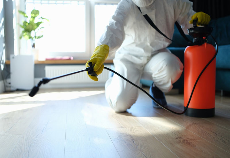 All in One Pest Control 