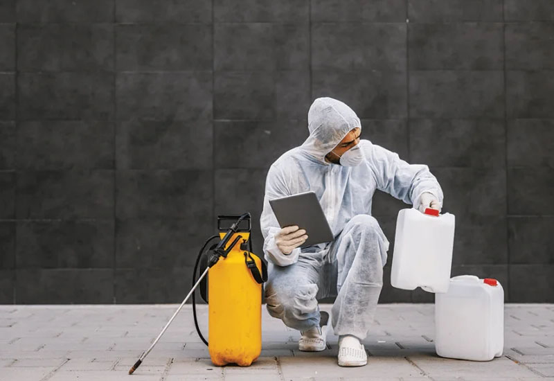 All in One Pest Control 