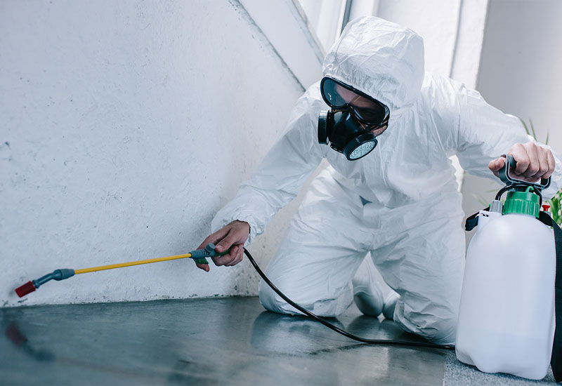 All in One Pest Control 