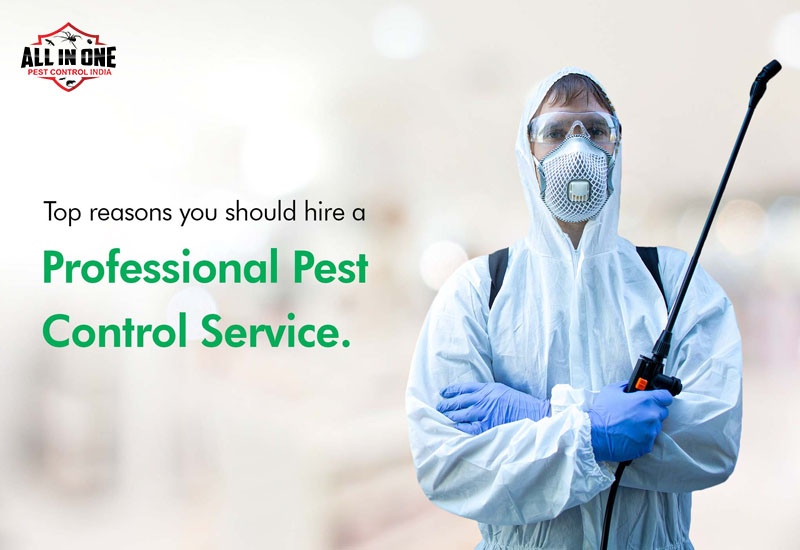 All in One Pest Control