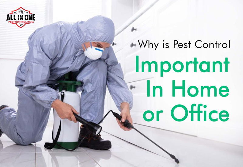 All in One Pest Control 