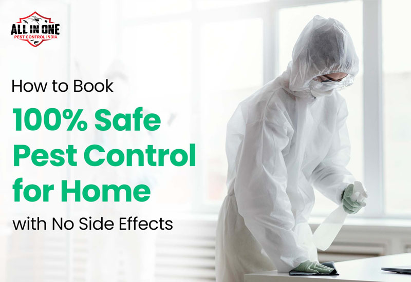 All in One Pest Control 